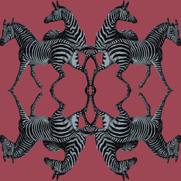 Zebra Raspberry Wallpaper