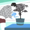 portrait1 of illustrator Toon Delanote