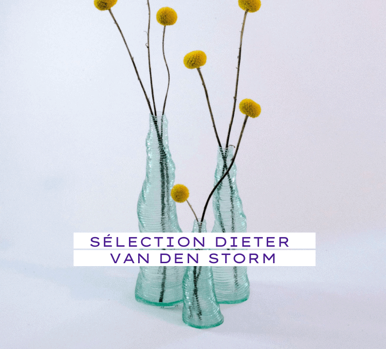 Sélection Dieter Van Den Storm