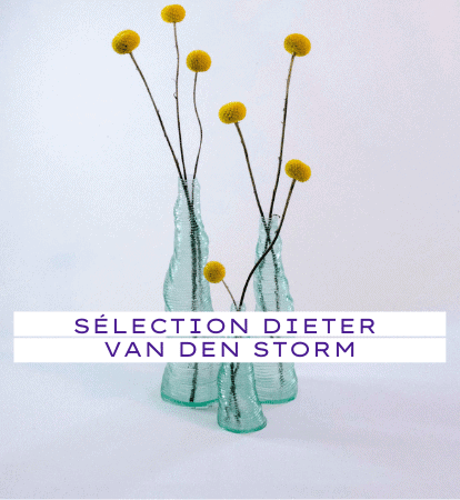 Sélection Dieter Van Den Storm