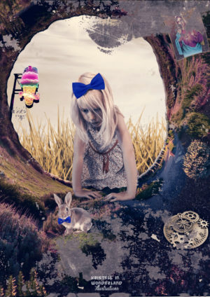 alice in the rabbit hole